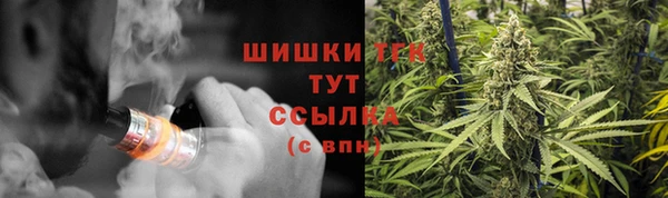 стаф Волоколамск
