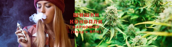 стаф Волоколамск