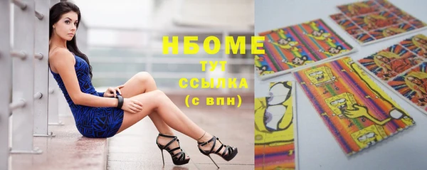 мдпв Вяземский