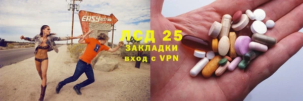 ГАЛЛЮЦИНОГЕННЫЕ ГРИБЫ Вязьма