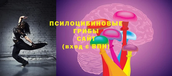мдпв Вяземский