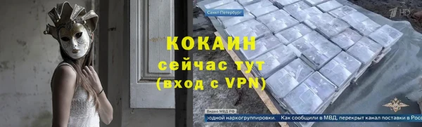 мдпв Вяземский