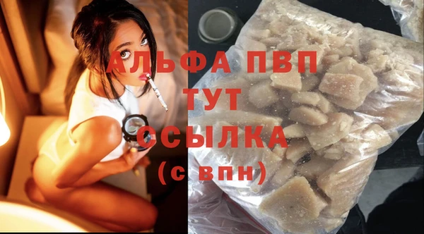 стаф Волоколамск