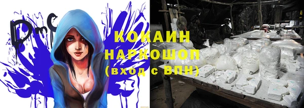 ГАЛЛЮЦИНОГЕННЫЕ ГРИБЫ Вязьма