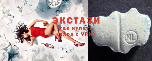 мдпв Вяземский