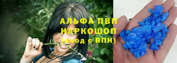 ГАЛЛЮЦИНОГЕННЫЕ ГРИБЫ Вязьма