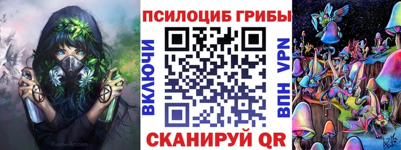 Галлюциногенные грибы мухоморы  маркетплейс телеграм  Северск 